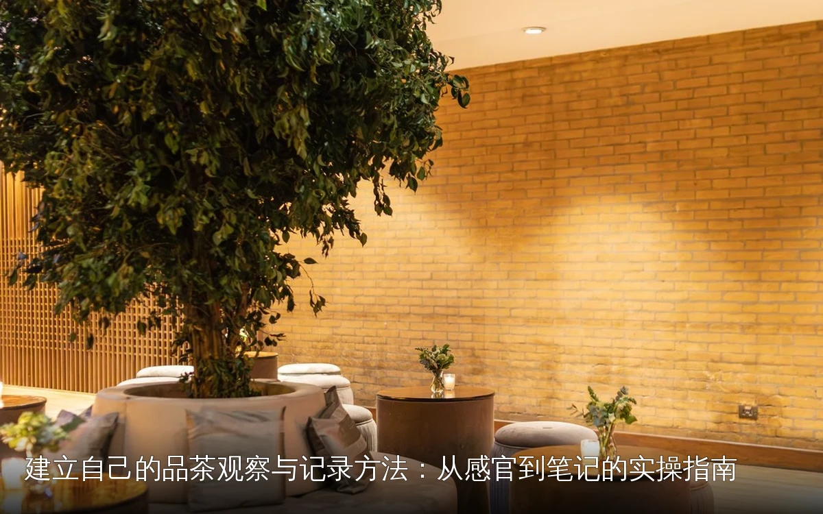 建立自己的品茶观察与记录方法:从感官到笔记的实操指南